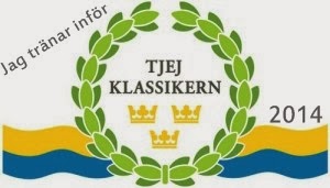 Tjejklassikern 2014