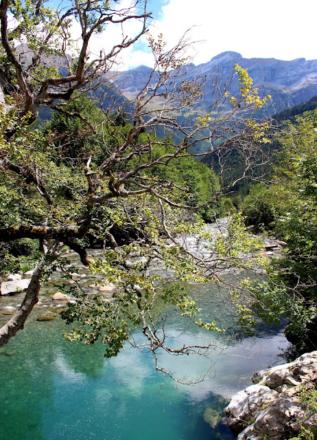 Río Ara en el valle de Bujaruelo-Huesca