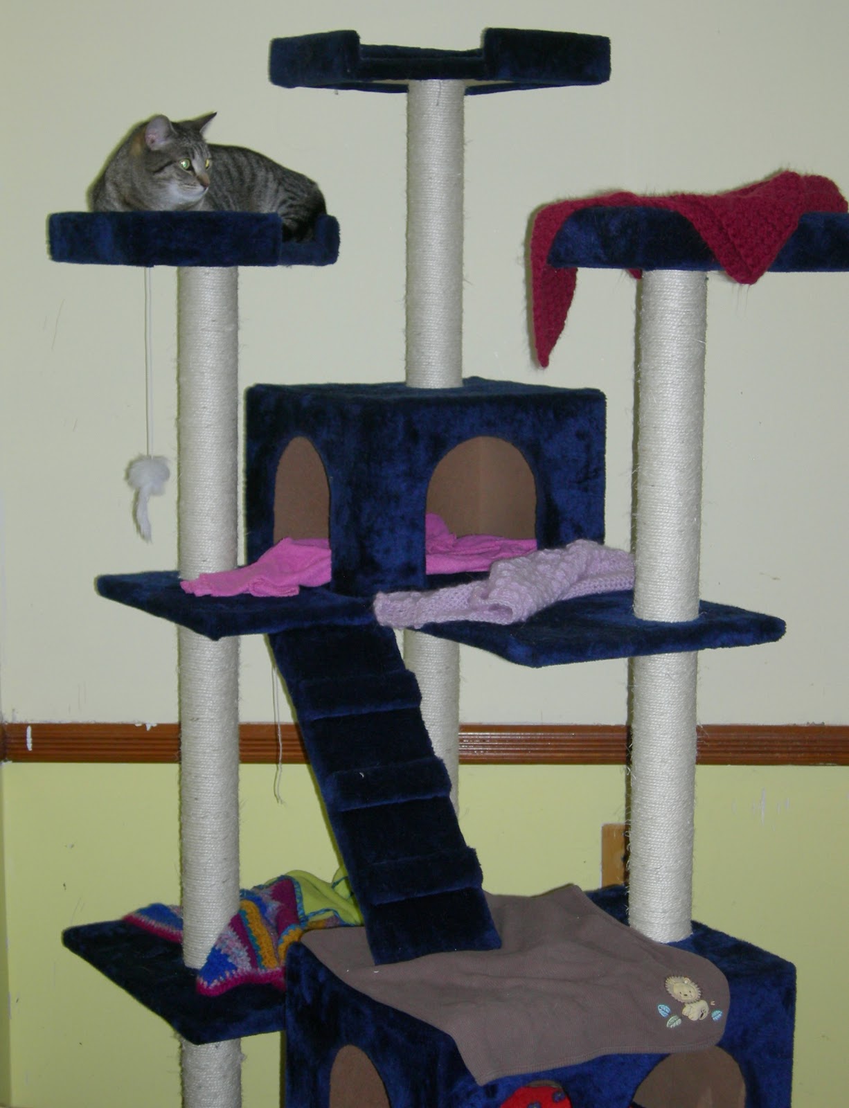 Homemade Cat Condo