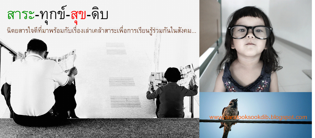 สาระทุกข์สุขดิบ