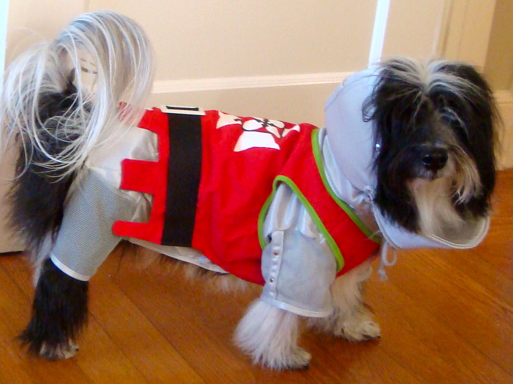 braves dog jersey