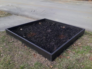 Edible and Elegant Urban Gardening : Garden Border & Kudos Home Depot!