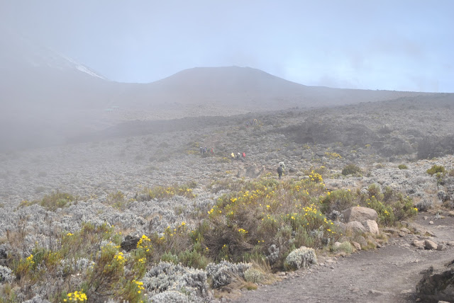 Mount Kilimanjaro Tanzania Marangu route