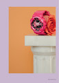 Temple of G -magazine-