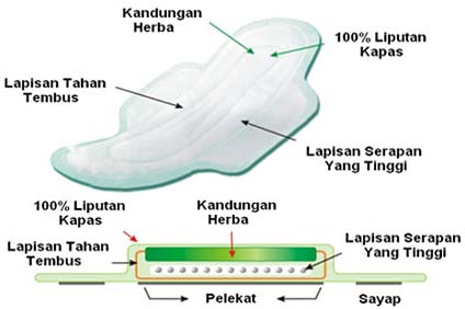 http://4.bp.blogspot.com/-Mck7hGPVv9c/UNCBrll-WeI/AAAAAAAAFWU/1pH4ZLOS2ys/s1600/pic_fc_sturctur.jpg
