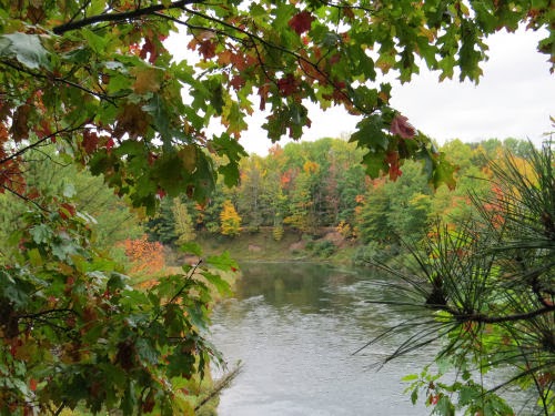 Manistee River