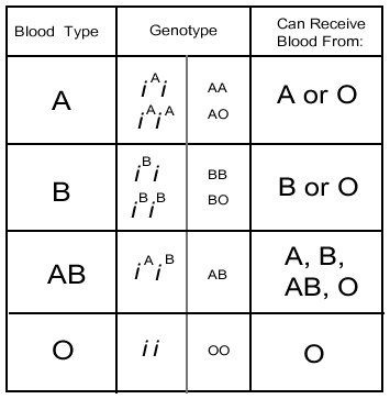 blood type chart