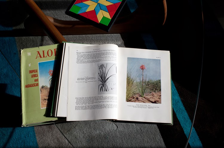 Computer Und Iphone Kleider Fur Blogger Freunde Everywhere I