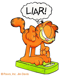 garfield liar