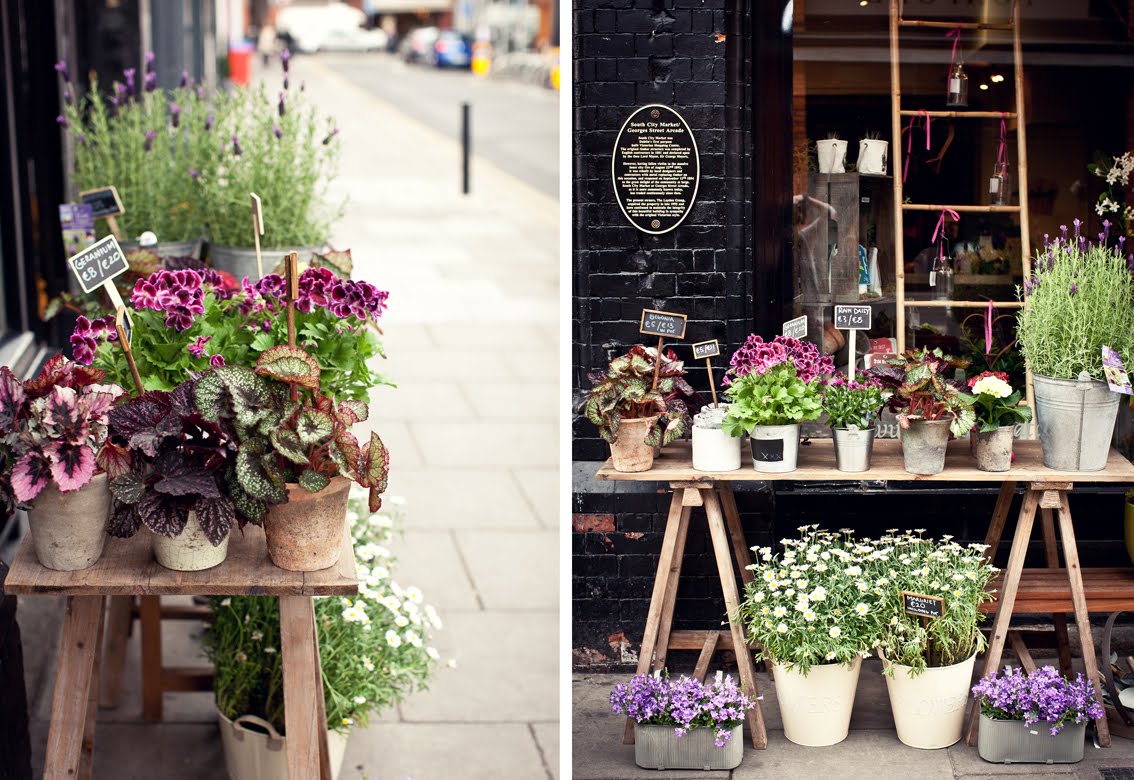 little irish flower market in an old wine shop... (With images