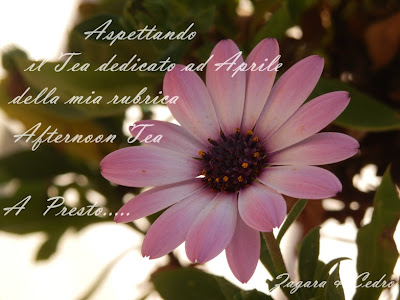 nel mio prossimo post.....afternoon tea 7