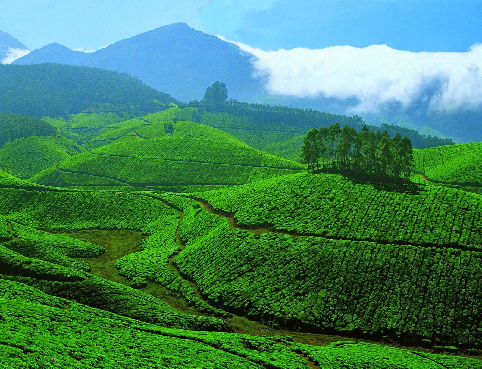 10 Best Summer Holiday Destinations in India 10 Best Summer Holiday Destinations in India