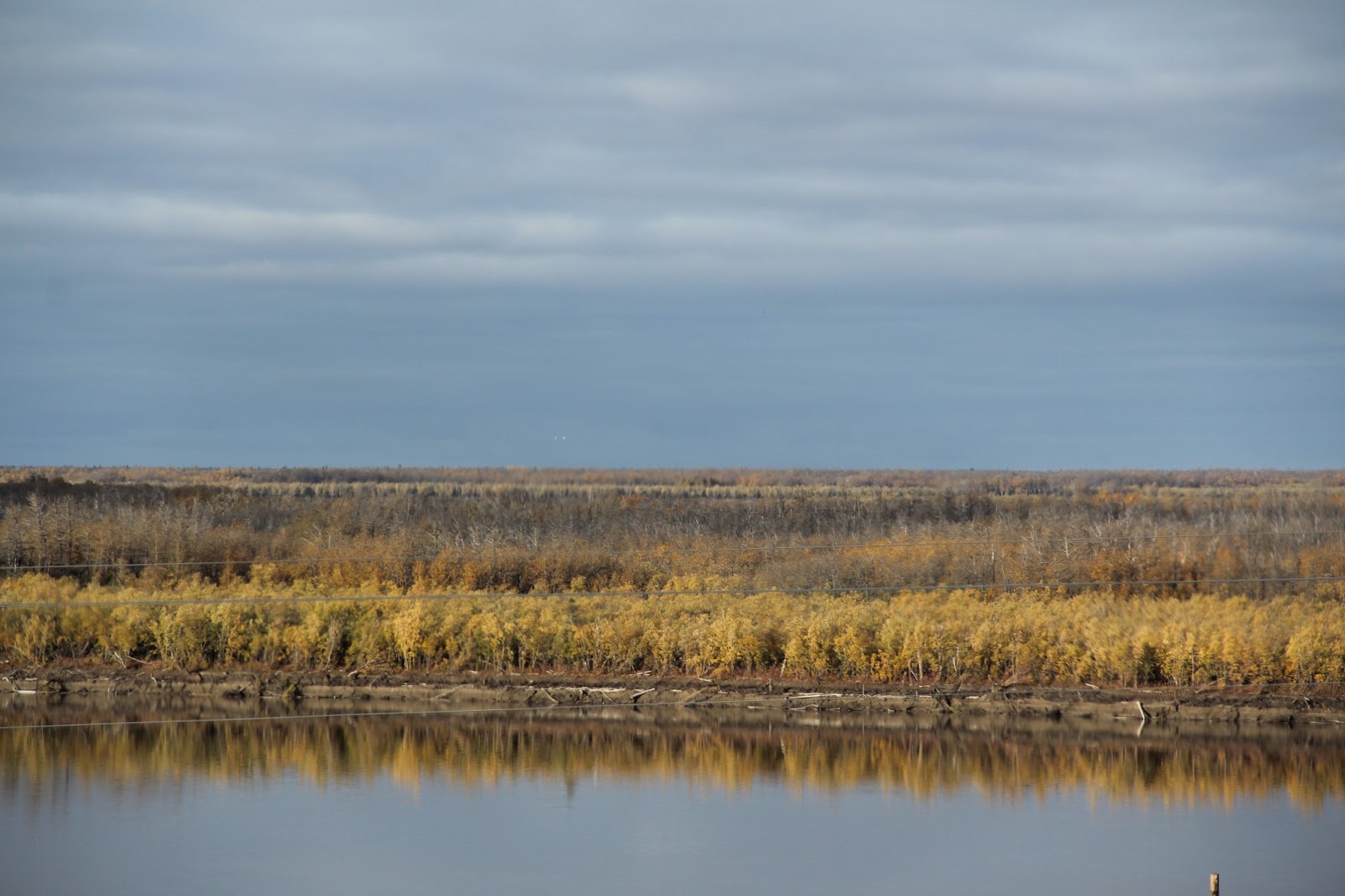 The Cunningham Family rural Alaska living