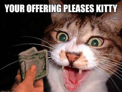 Funny Cat Pictures