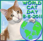 World Cat Day