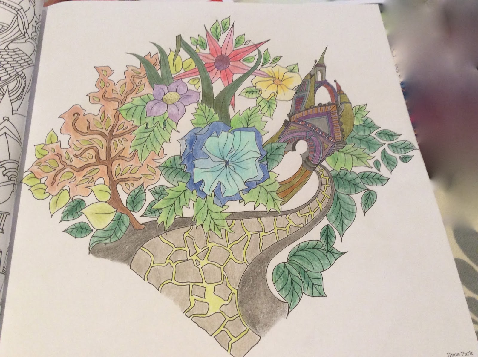 The Book Has Fairly Thick Paper So I Also Tried Some Pens Used Staedtler Triplus Colour And Crayola Washable You Couldnt See On