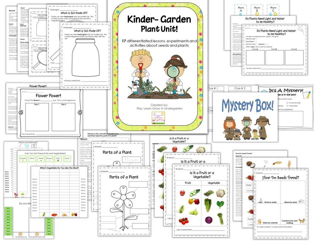 Play Learn and Grown in Kindergarten: Spring...and my new Plant unit!