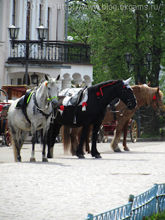 Лошади былинных богатырей: Алеши Поповича, Ильи Муромца и Добрыни Никитича