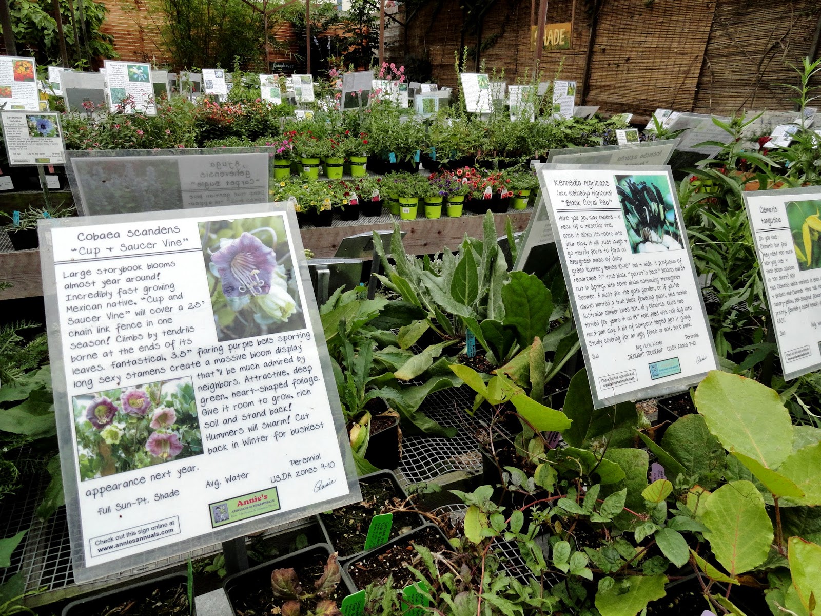 danger garden Visiting Flowerland...