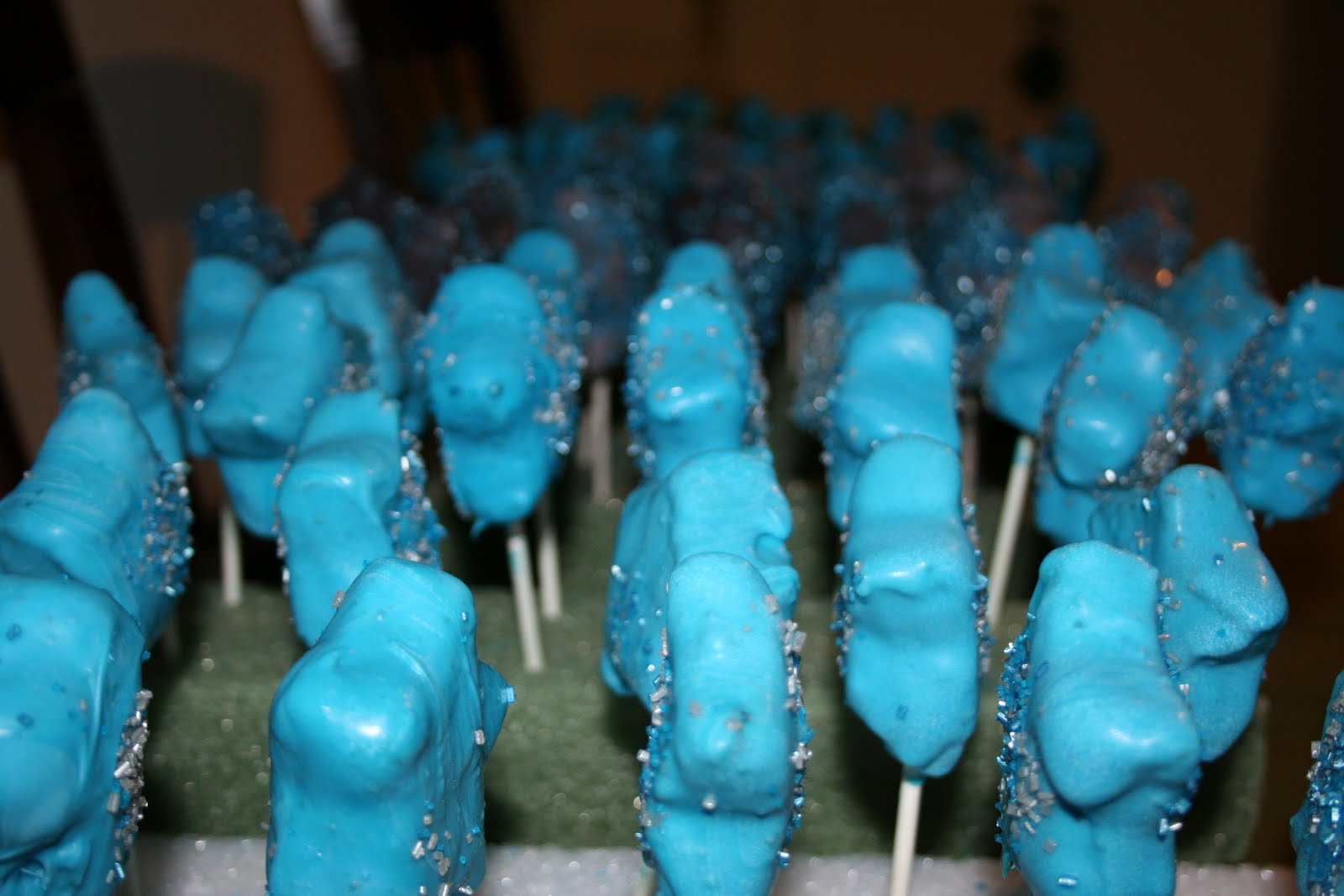 D2D Rockin with Reef 1st Birthday Party Part 1 of 3