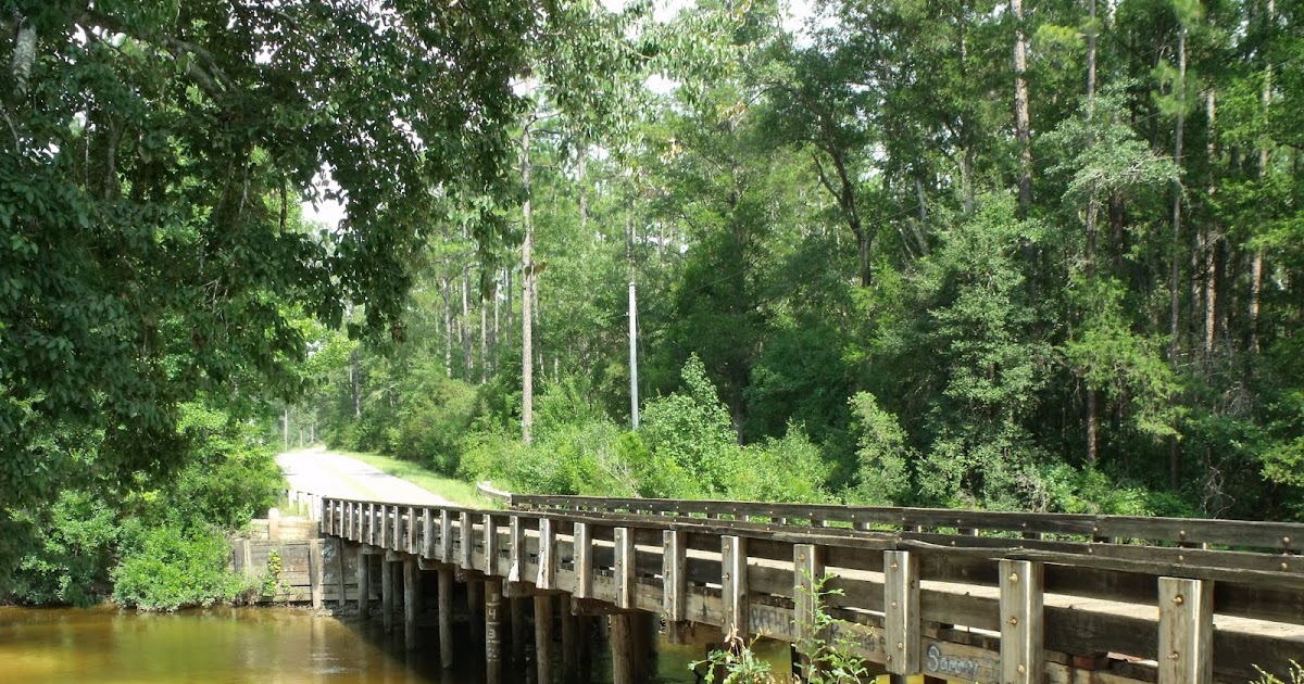 Blackwater State Forest