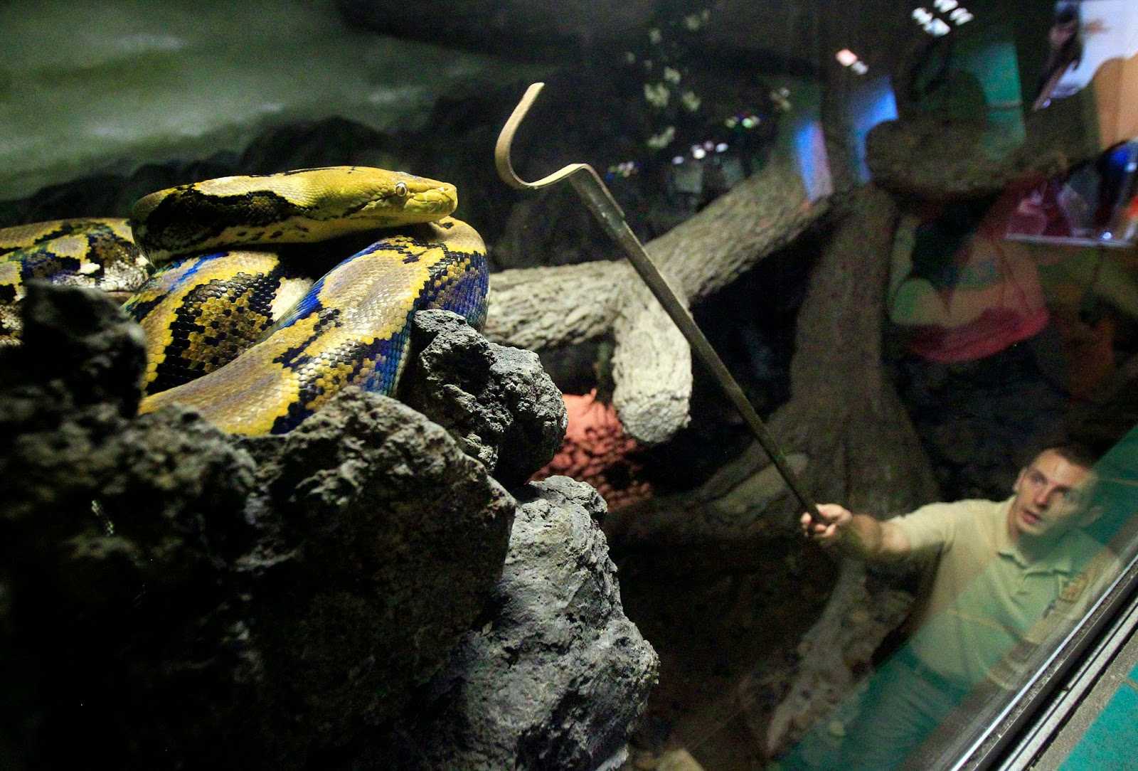 Life through the Lens Day in the life of a Zoo Keeper