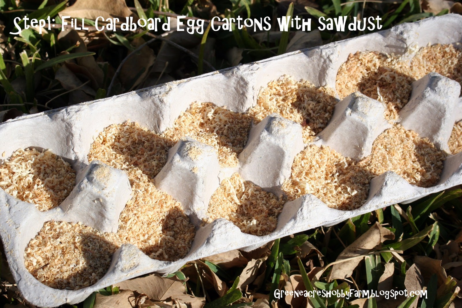 Greene Acres Hobby Farm DIY Egg Carton Fire Starters for Camping