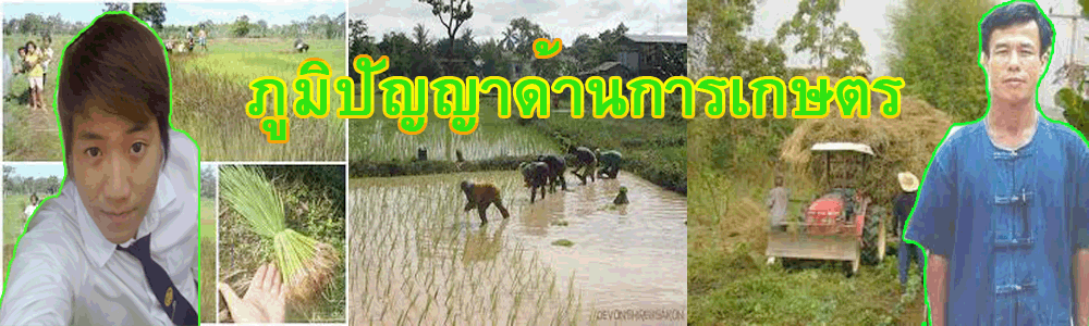 ภูมิปัญญาไทย ด้านการเกษตกรรม