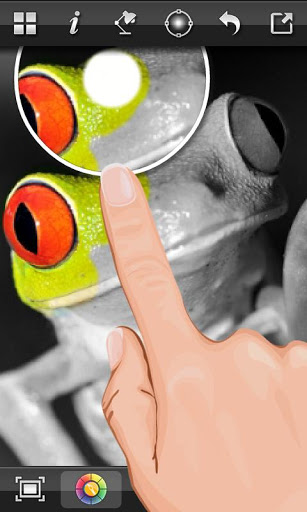 Color Splash Effect