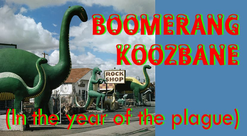 Boomerang Koozbane