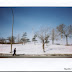 // INSTAX : Dans les parcs de Montréal - 3
