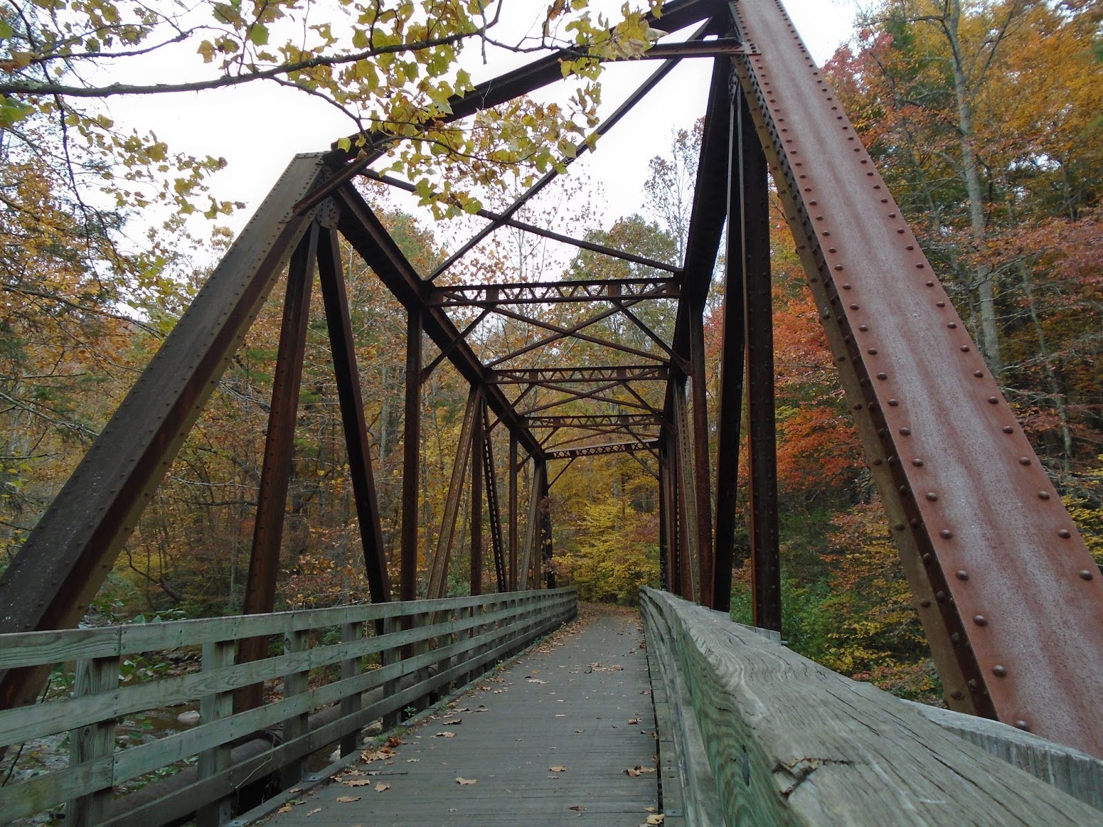 My Carolina Backyard Biking the Virginia Creeper Trail.