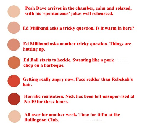 musings from higher downgate