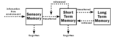 Information Processing Chart