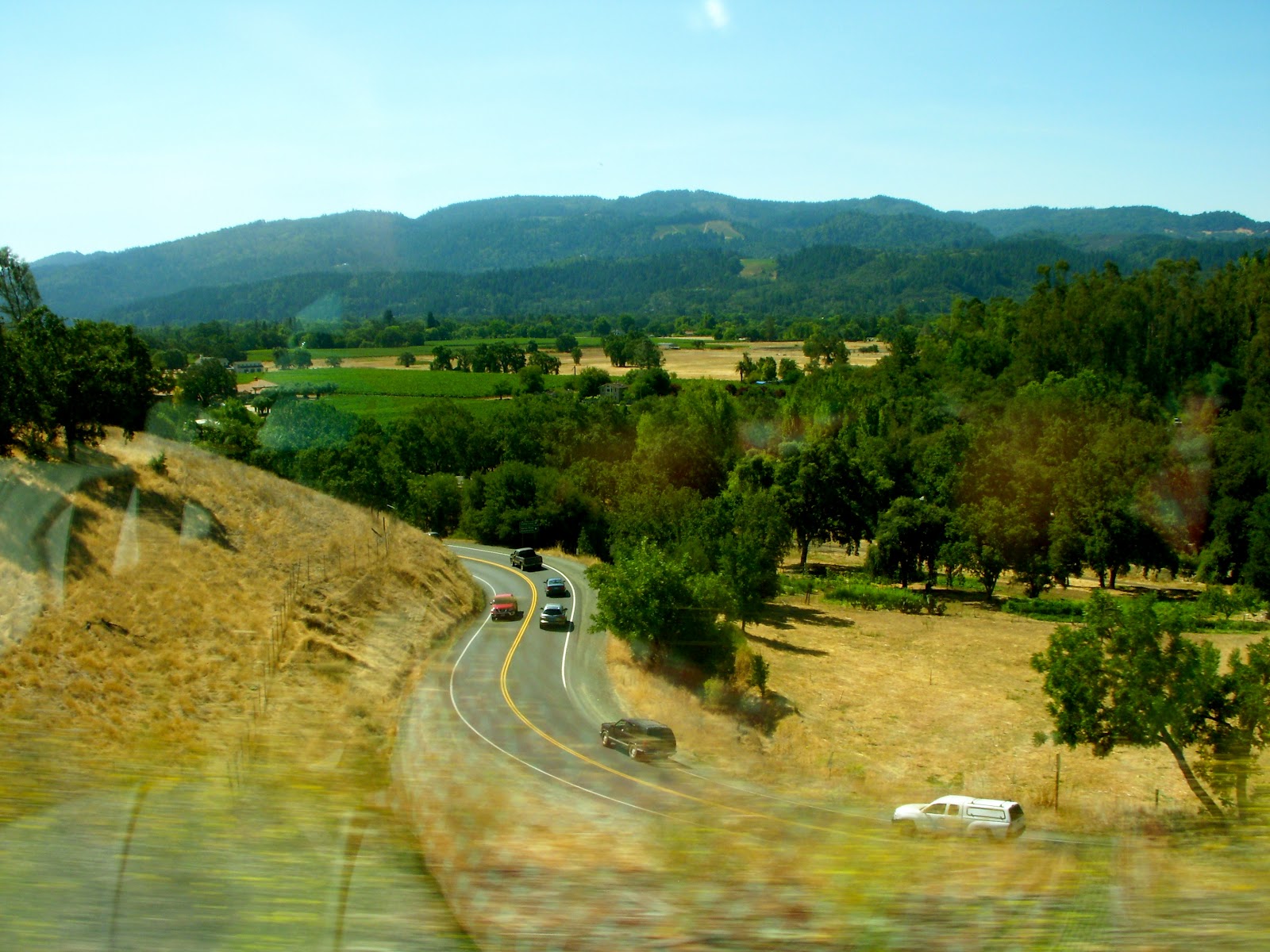 Honey's Treasures Cobb Mountain