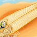 Spaghetti smugglers of the Sahara - Tuaregs and tagliatelle - FOX NAIJA