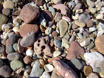 Westport beach