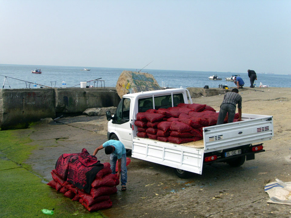 DERİN TAKİP: DENİZ İNSANI OLMAK, KOLAY DEĞİL...