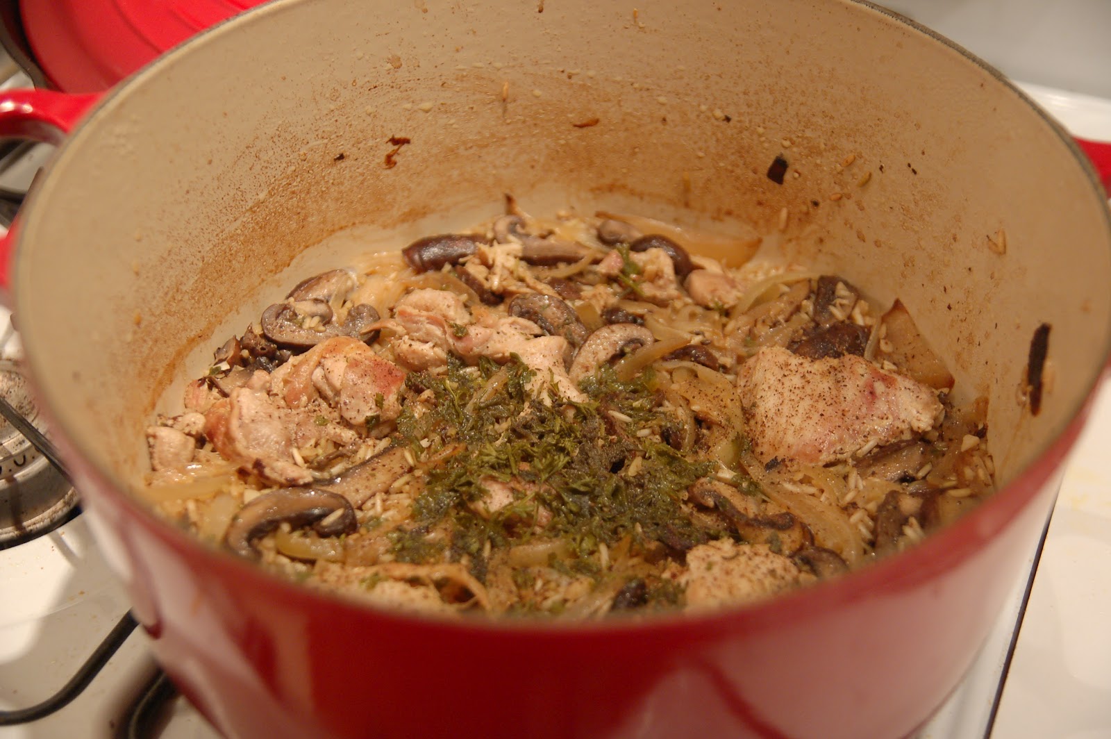 Sensibly Gourmet Dutch Oven Chicken and Rice