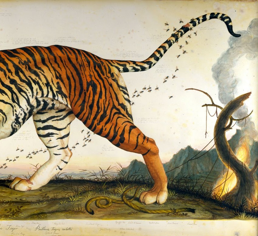 La pintura naturalista de Walton Ford: monos atacando a loros