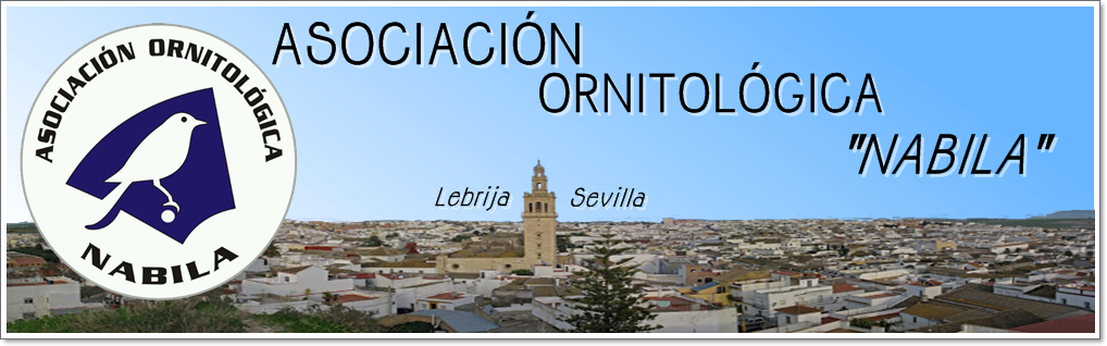 Asociación Ornitológica Nabila Lebrija-Sevilla