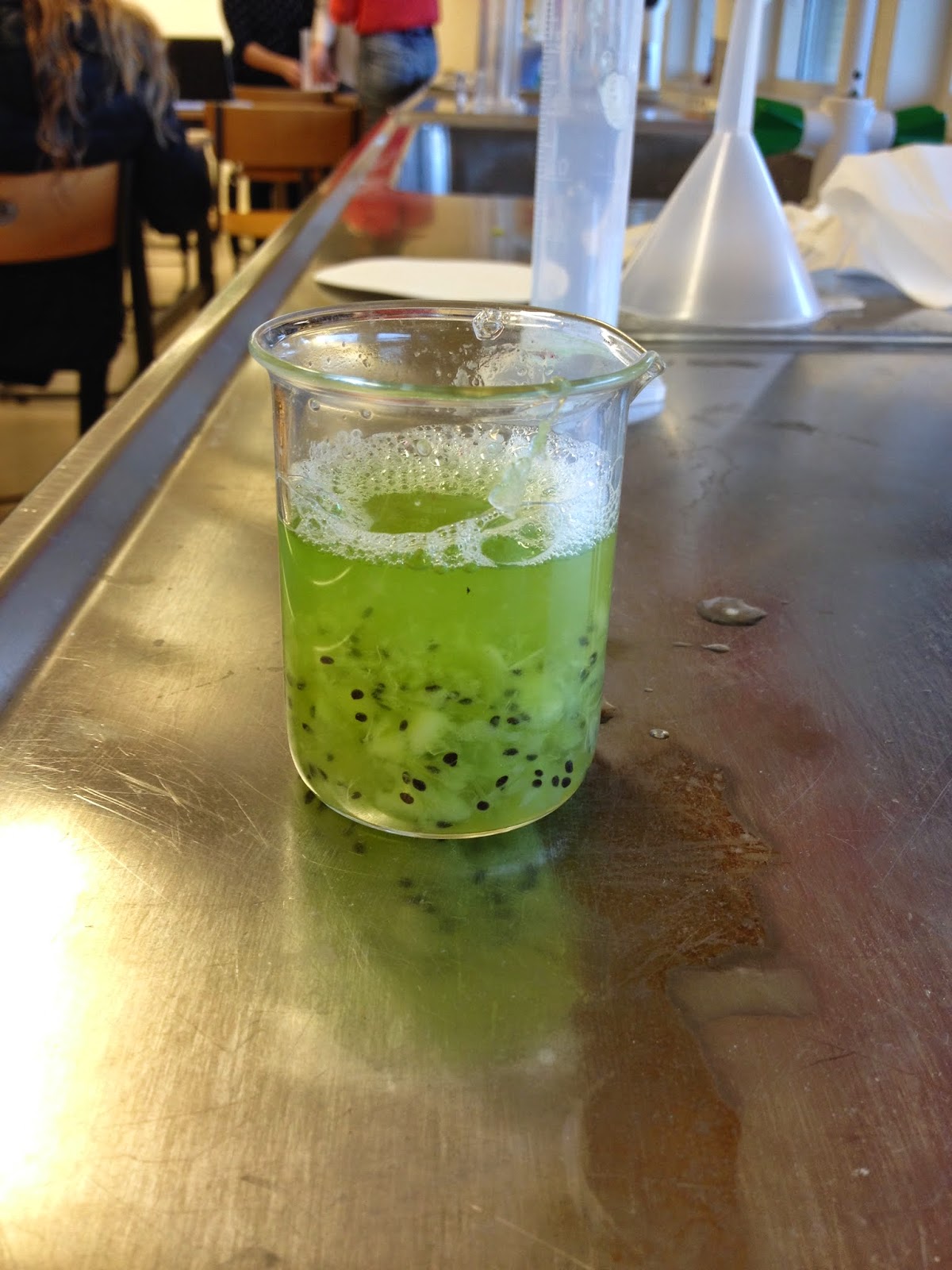 Williams blogg Lab DNA ur kiwi