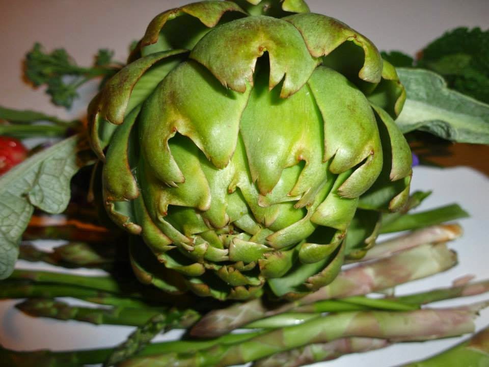 Locavore Intentions: My kingdom for an Artichoke