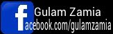 Gulam Zamia