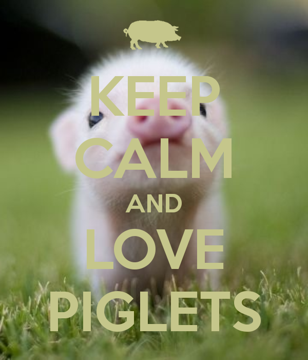 WHO DOESN'T LOVE PIGLETS!!!!!?????