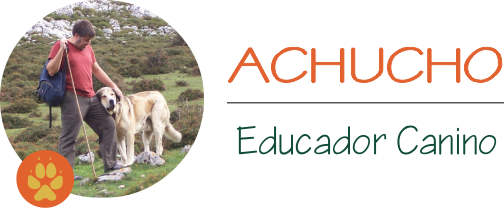 Achucho Educador Canino en Asturias