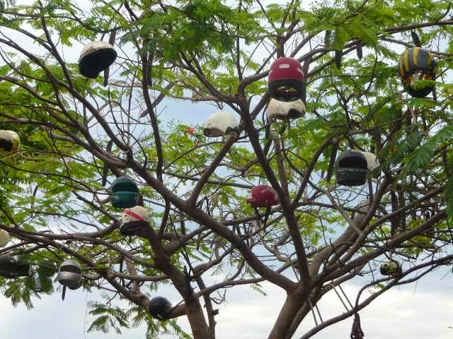The Helmet Tree
