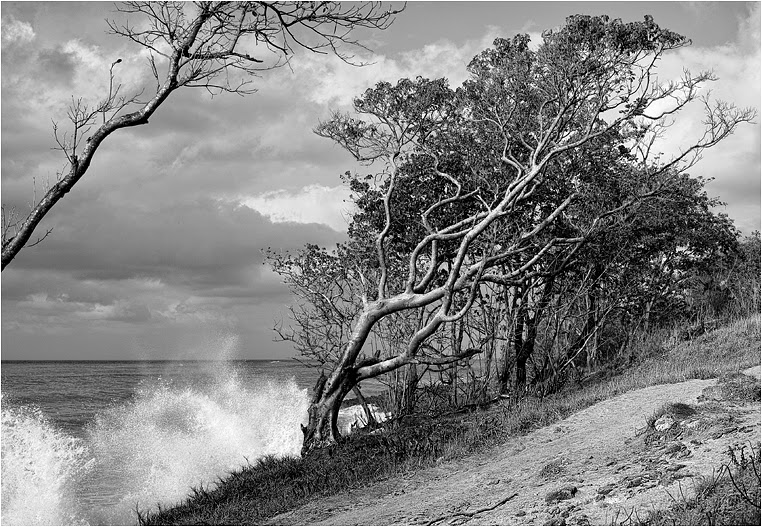 Compact Camera, Best Photo of the Day in Emphoka by Jack O'Donate, Sigma DP2, https://flic.kr/p/mmTukv Compact Camera, Best Photo of the Day in Emphoka by Jack O'Donate, Sigma DP2, https://flic.kr/p/mmTukv