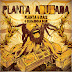 Planta & Raiz lança projeto "Planta adubada" e disponibiliza o cd para download