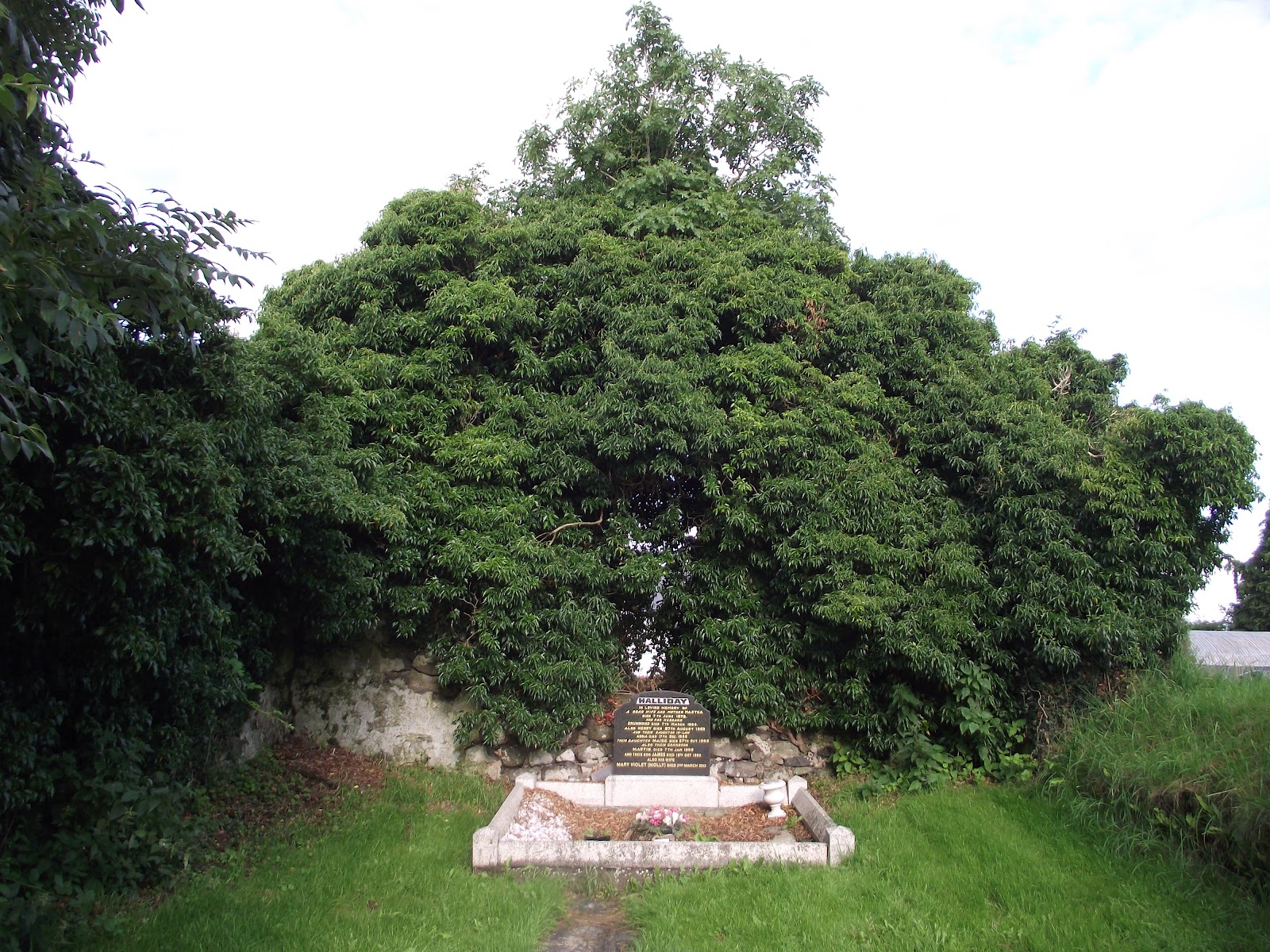 The Tamlaght O' Crilly "Upper